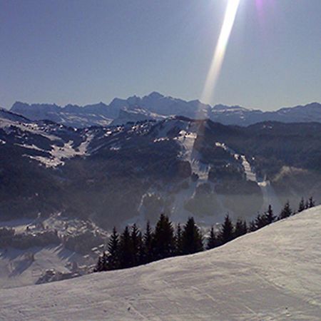 Les Gets Le Grand Paradis Esterno foto
