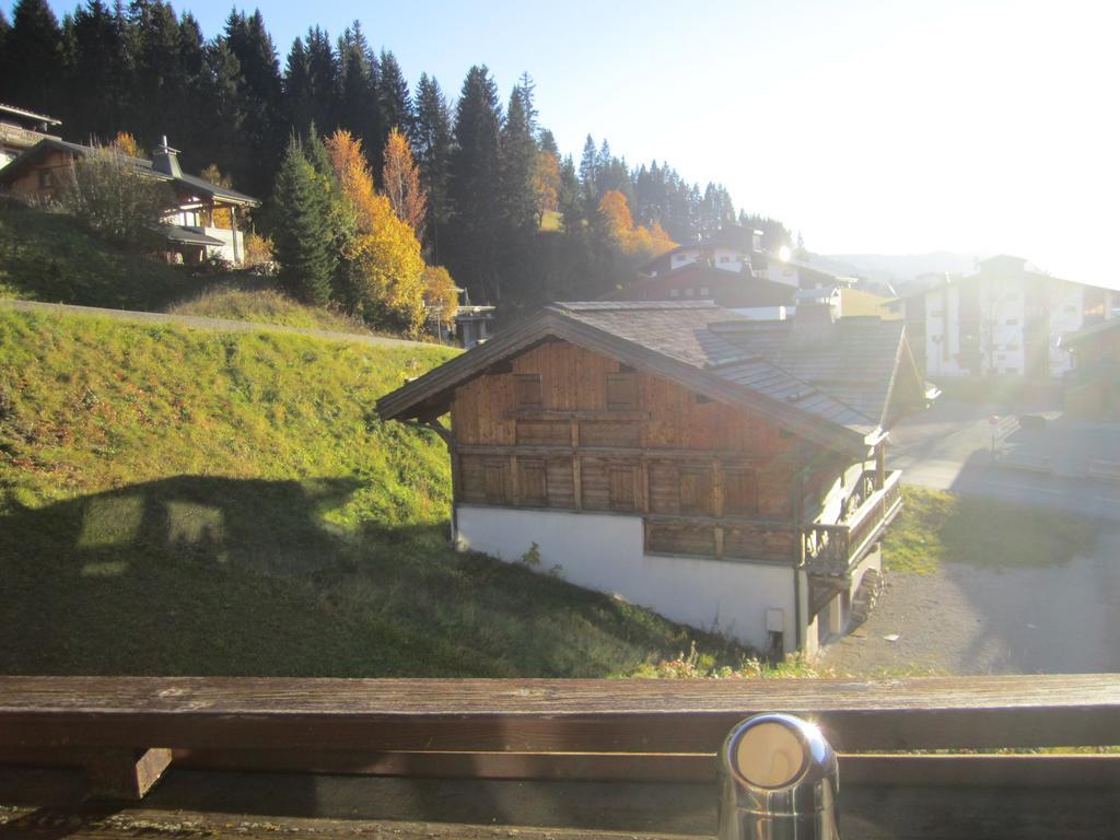Les Gets Le Grand Paradis Camera foto